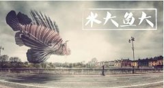 <b>水大，鱼也大</b>